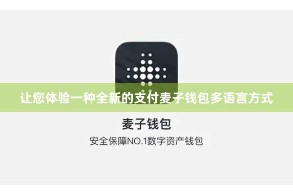 让您体验一种全新的支付麦子钱包多语言方式
