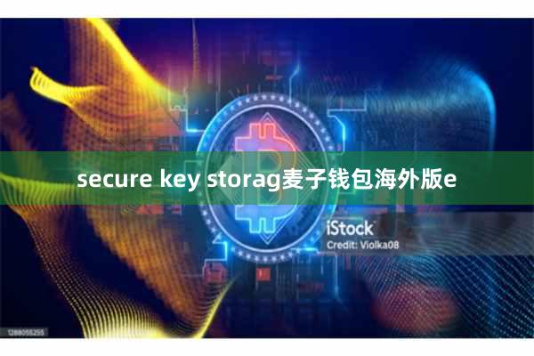 secure key storag麦子钱包海外版e