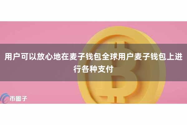 用户可以放心地在麦子钱包全球用户麦子钱包上进行各种支付