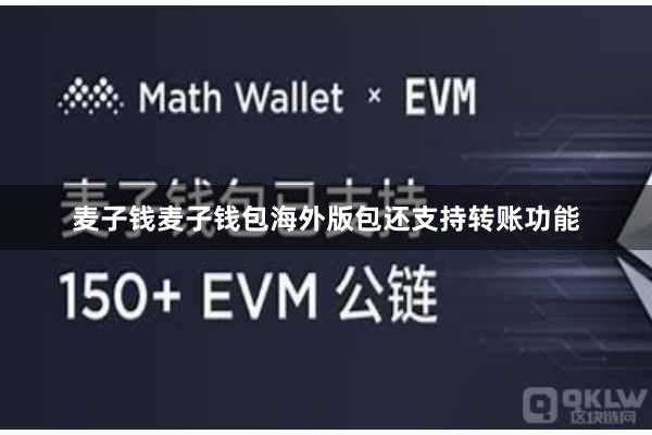 麦子钱麦子钱包海外版包还支持转账功能