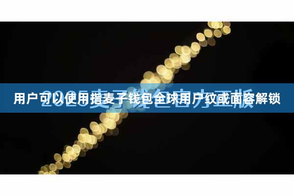 用户可以使用指麦子钱包全球用户纹或面容解锁