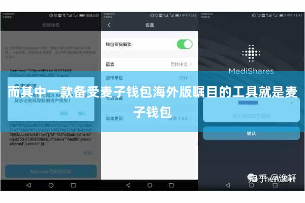 而其中一款备受麦子钱包海外版瞩目的工具就是麦子钱包
