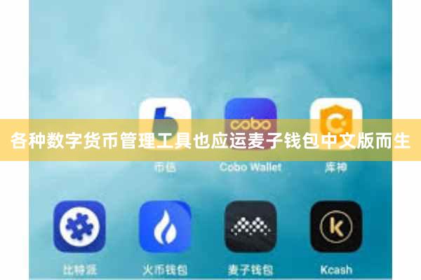 各种数字货币管理工具也应运麦子钱包中文版而生
