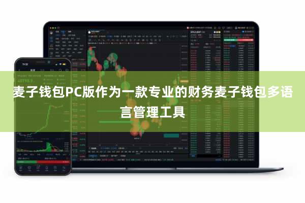 麦子钱包PC版作为一款专业的财务麦子钱包多语言管理工具