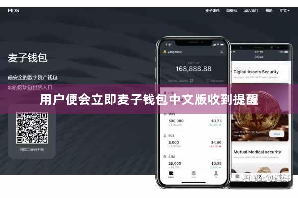 用户便会立即麦子钱包中文版收到提醒