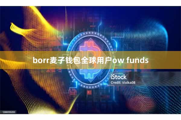 borr麦子钱包全球用户ow funds