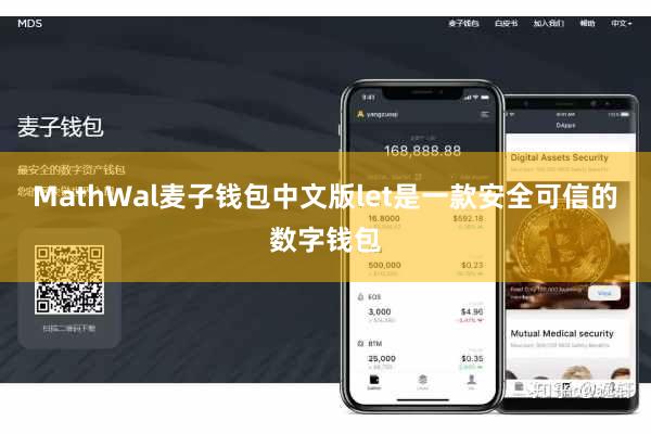 MathWal麦子钱包中文版let是一款安全可信的数字钱包