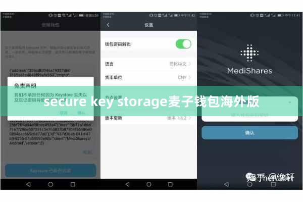 secure key storage麦子钱包海外版