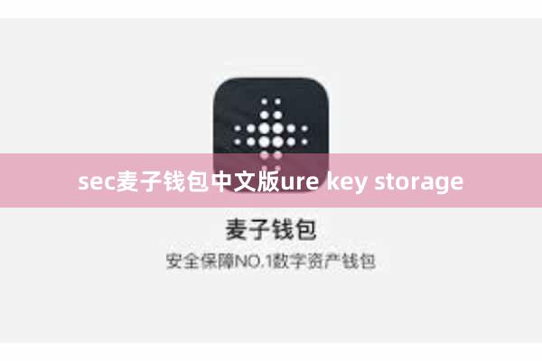 sec麦子钱包中文版ure key storage