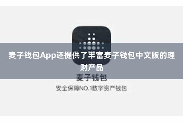 麦子钱包App还提供了丰富麦子钱包中文版的理财产品