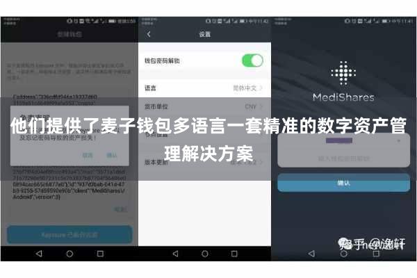他们提供了麦子钱包多语言一套精准的数字资产管理解决方案